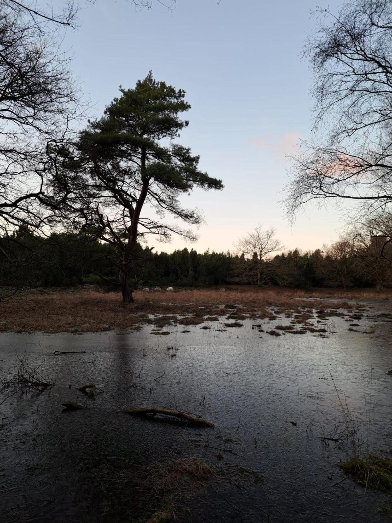 Natuurhuisje Meppen Exteriör bild