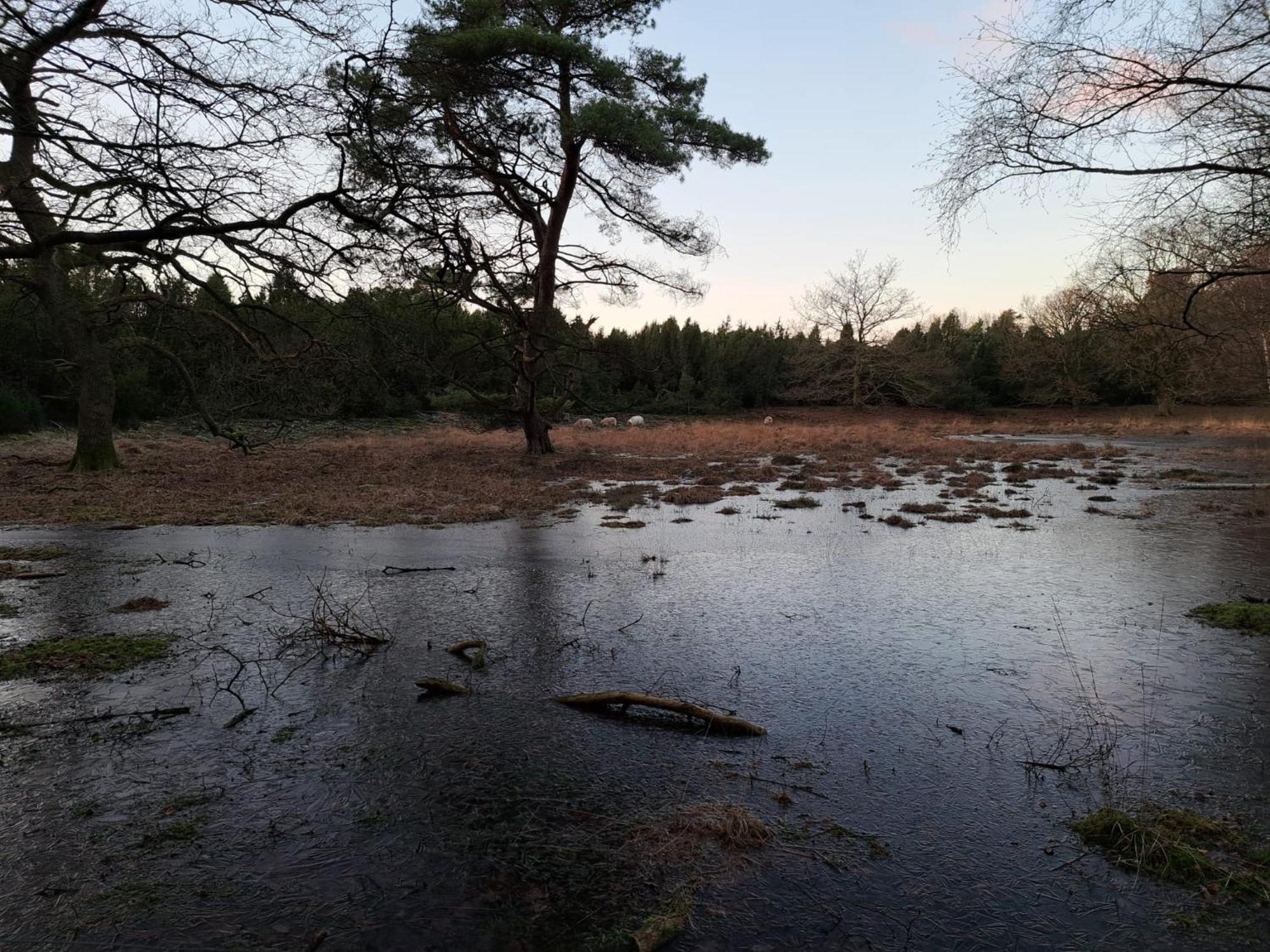 Natuurhuisje Meppen Exteriör bild