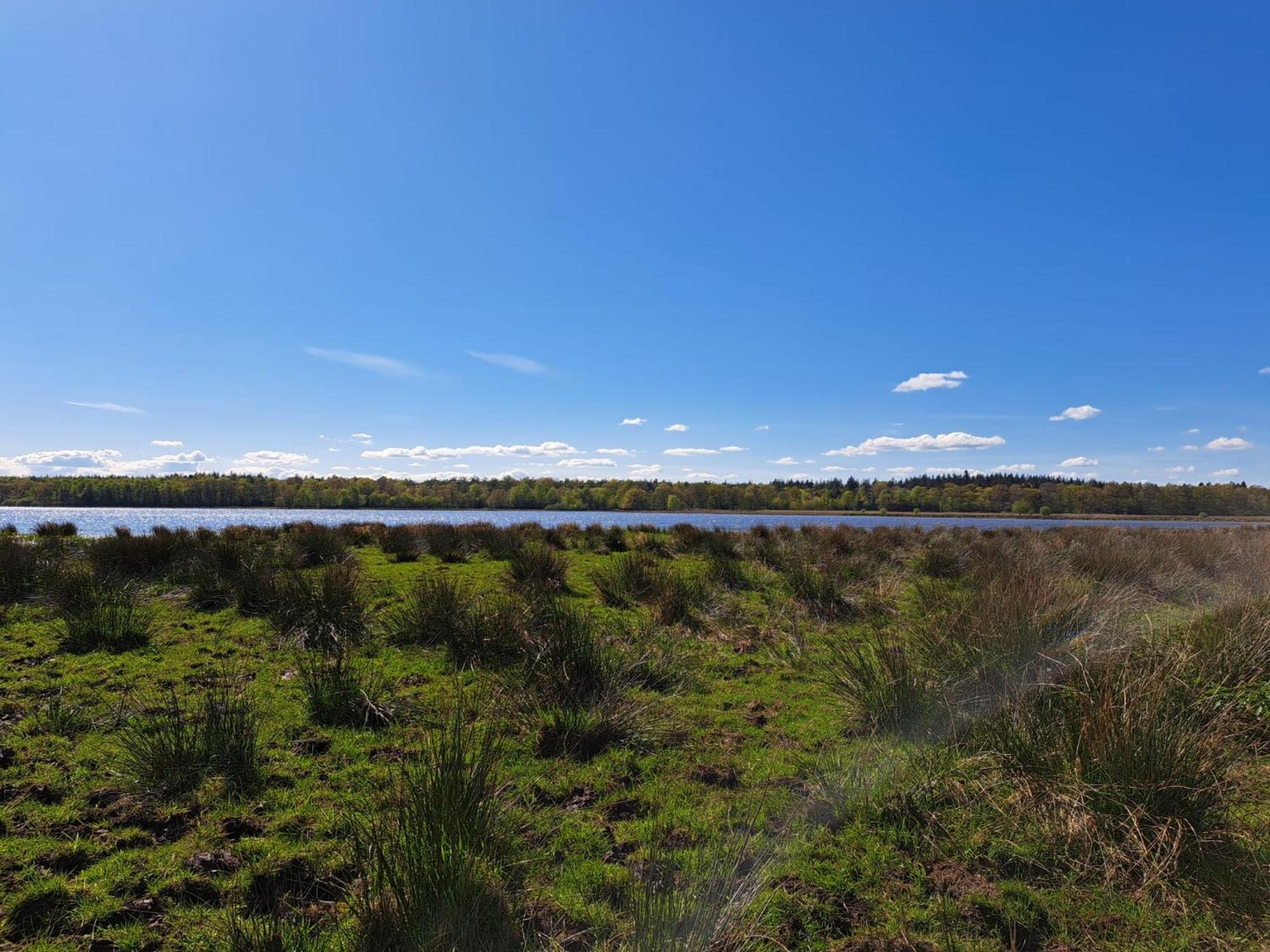 Natuurhuisje Meppen Exteriör bild