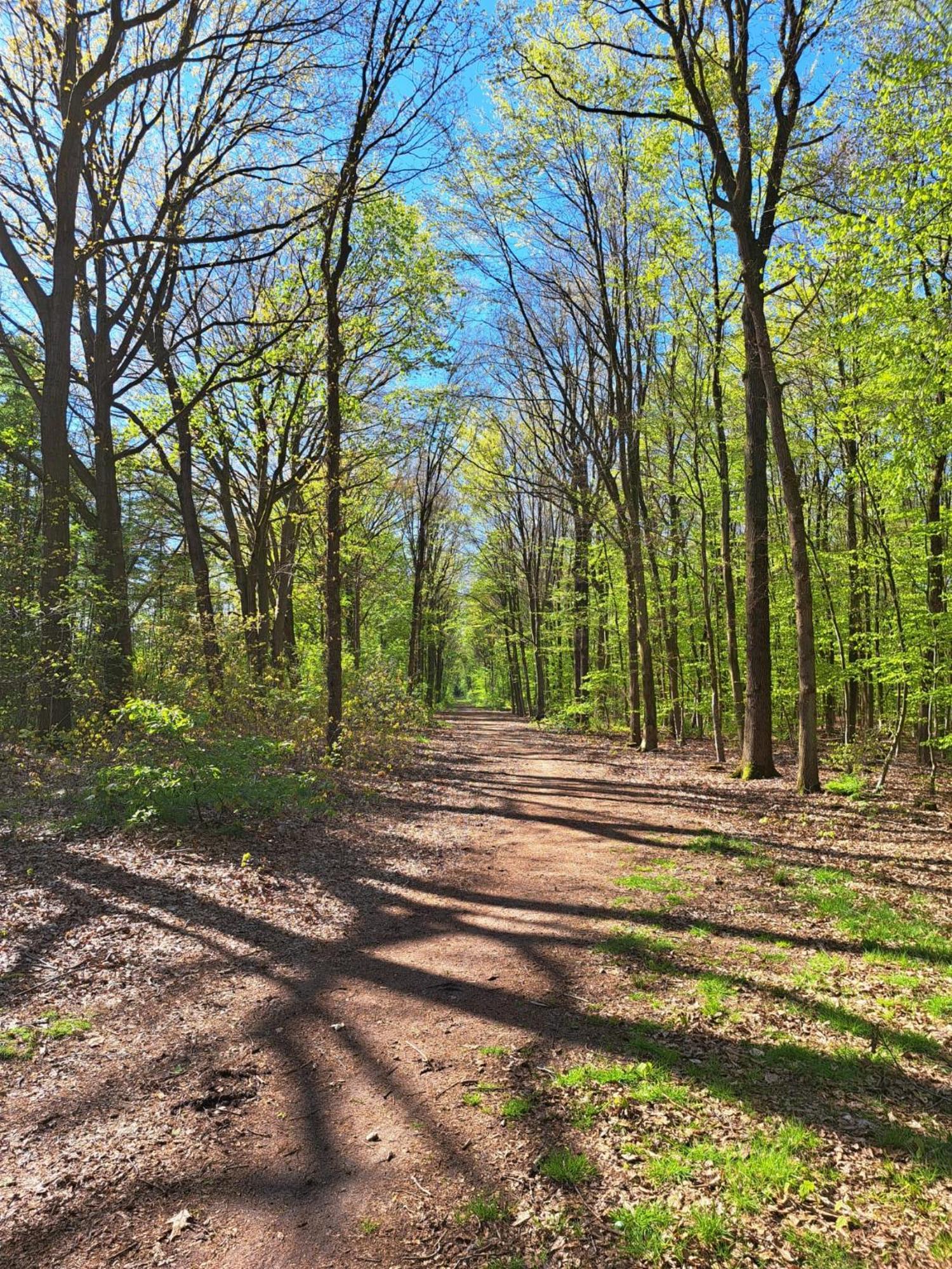 Natuurhuisje Meppen Exteriör bild
